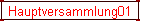 Hauptversammlung01